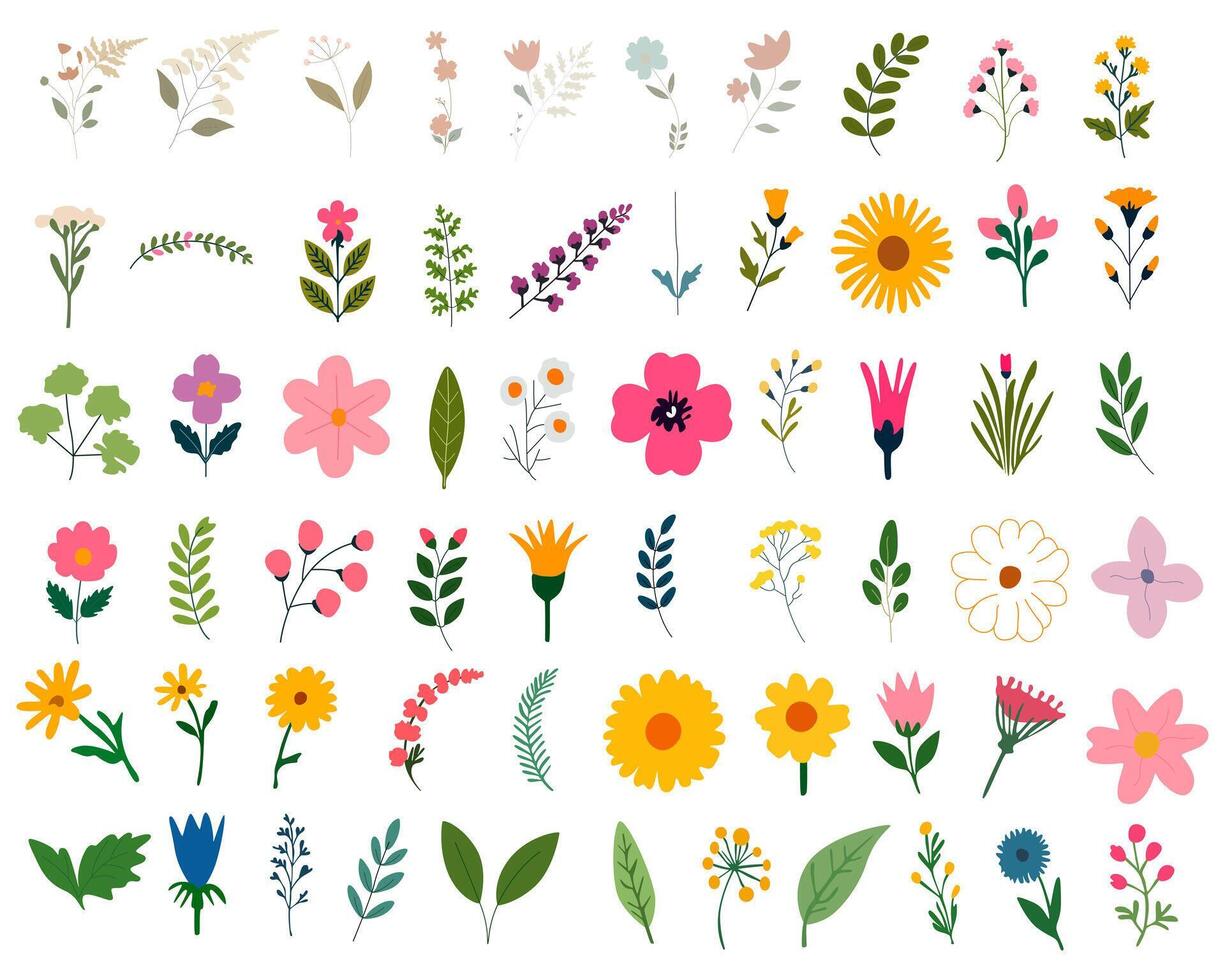 Collection of spring colorful flower elements . Set floral of wildflower, leaf branch, foliage on white background. vector