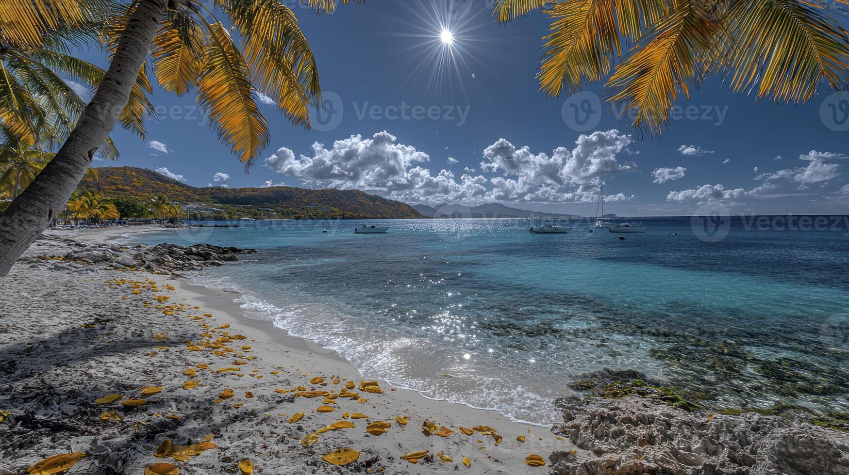 A beach with palm trees and a boat on the water photo