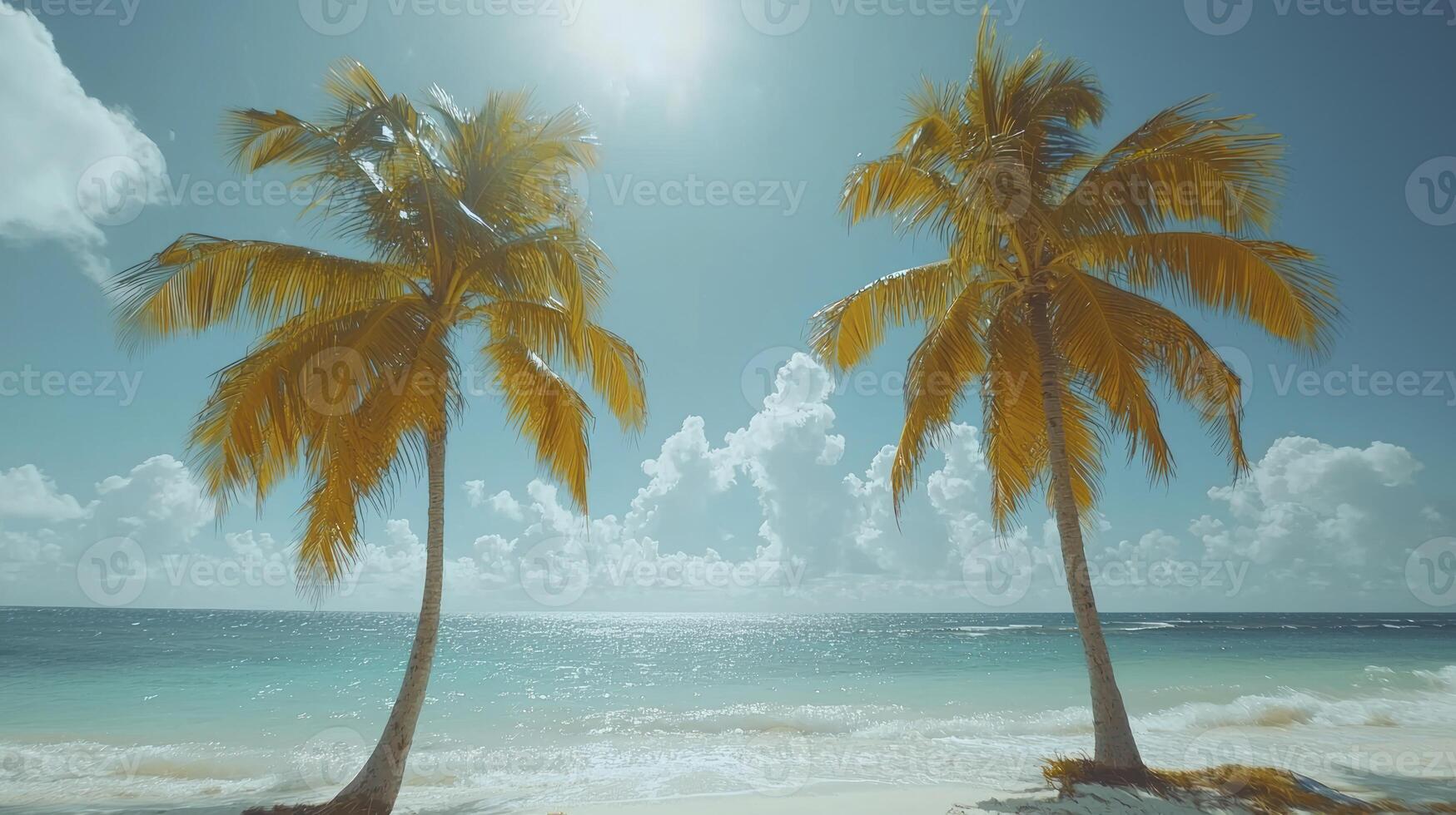 Two palm trees on a beach with the sun shining photo