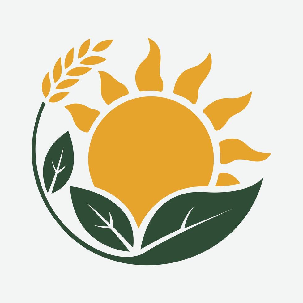 The sun and wheat logo vector