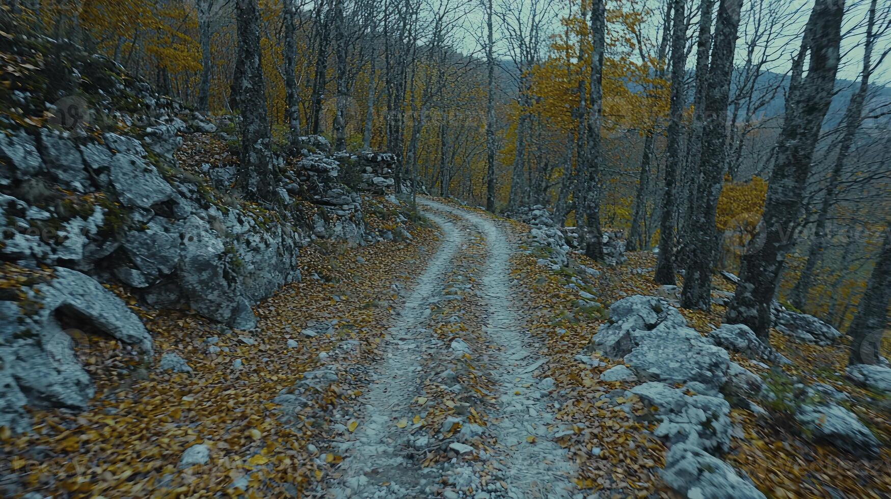 A dirt road in the woods with trees and rocks photo