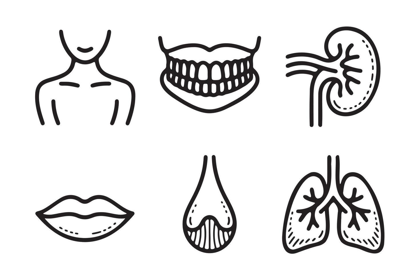 Simple Black Line Art Illustrations of Human Body Organs vector