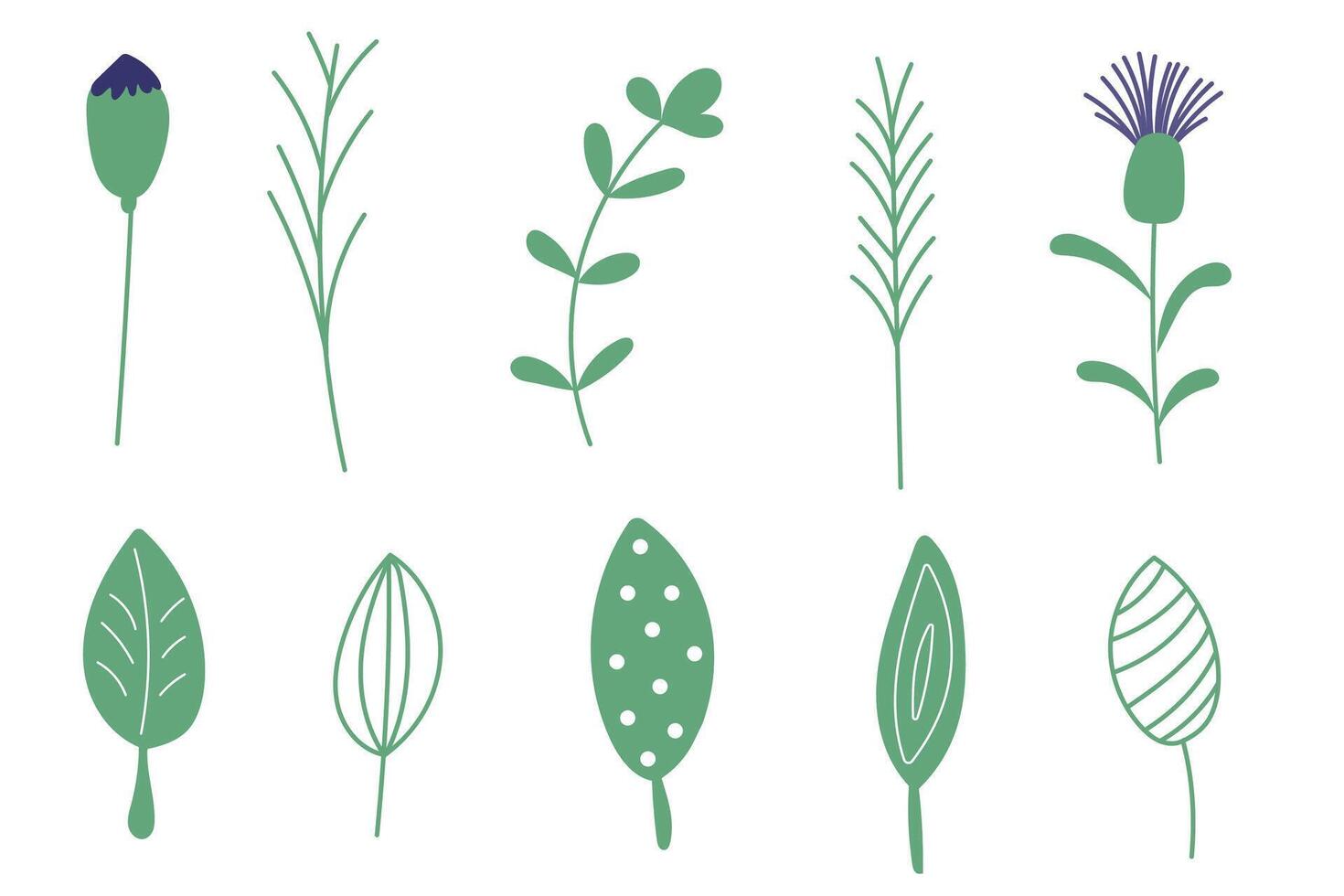 Set of green plants and leaves vector