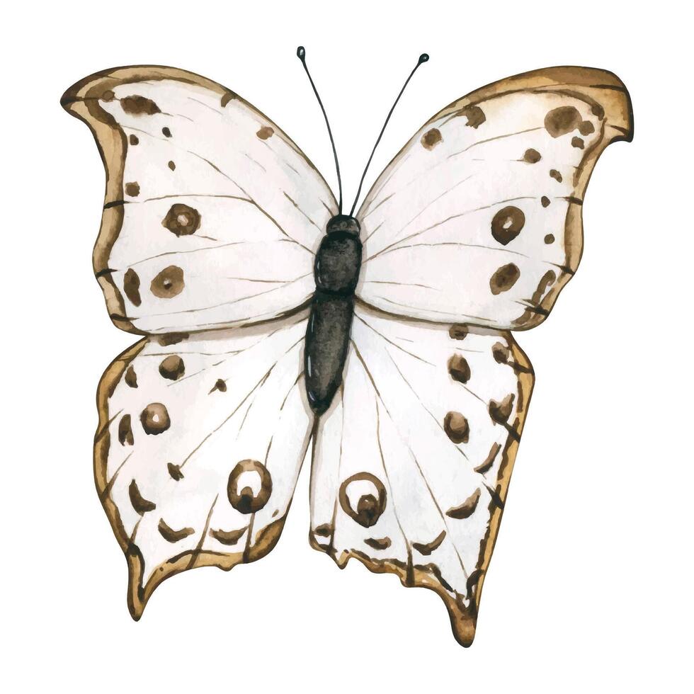 Monarch Butterfly Isolated on White Background. Hand drawn flying insects. Watercolor illustrations in calm beige tones for background, texture, wrapper pattern, frame or border vector