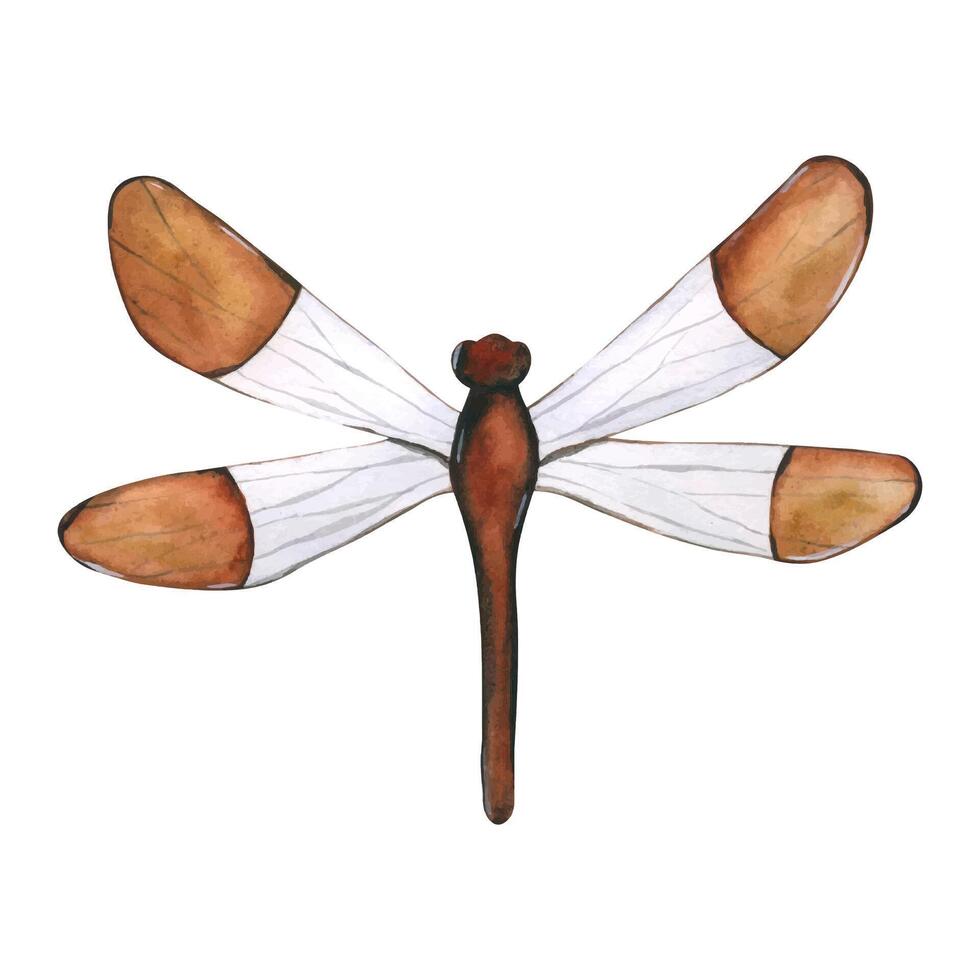 Dragonfly. Hand drawn flying insects. Watercolor illustrations in calm beige tones for background, texture, wrapper pattern, frame or border vector