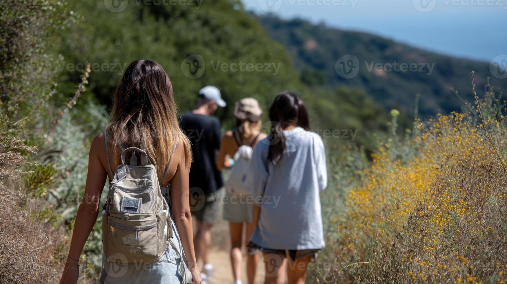 A hiking trail leading to a scenic viewpoint where a group of friends takes in the view while their devices are turned off and tucked away in their bags photo