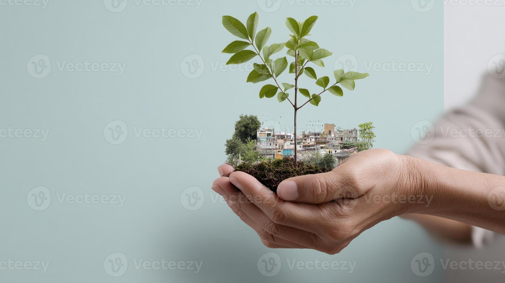 sustainability and community photo
