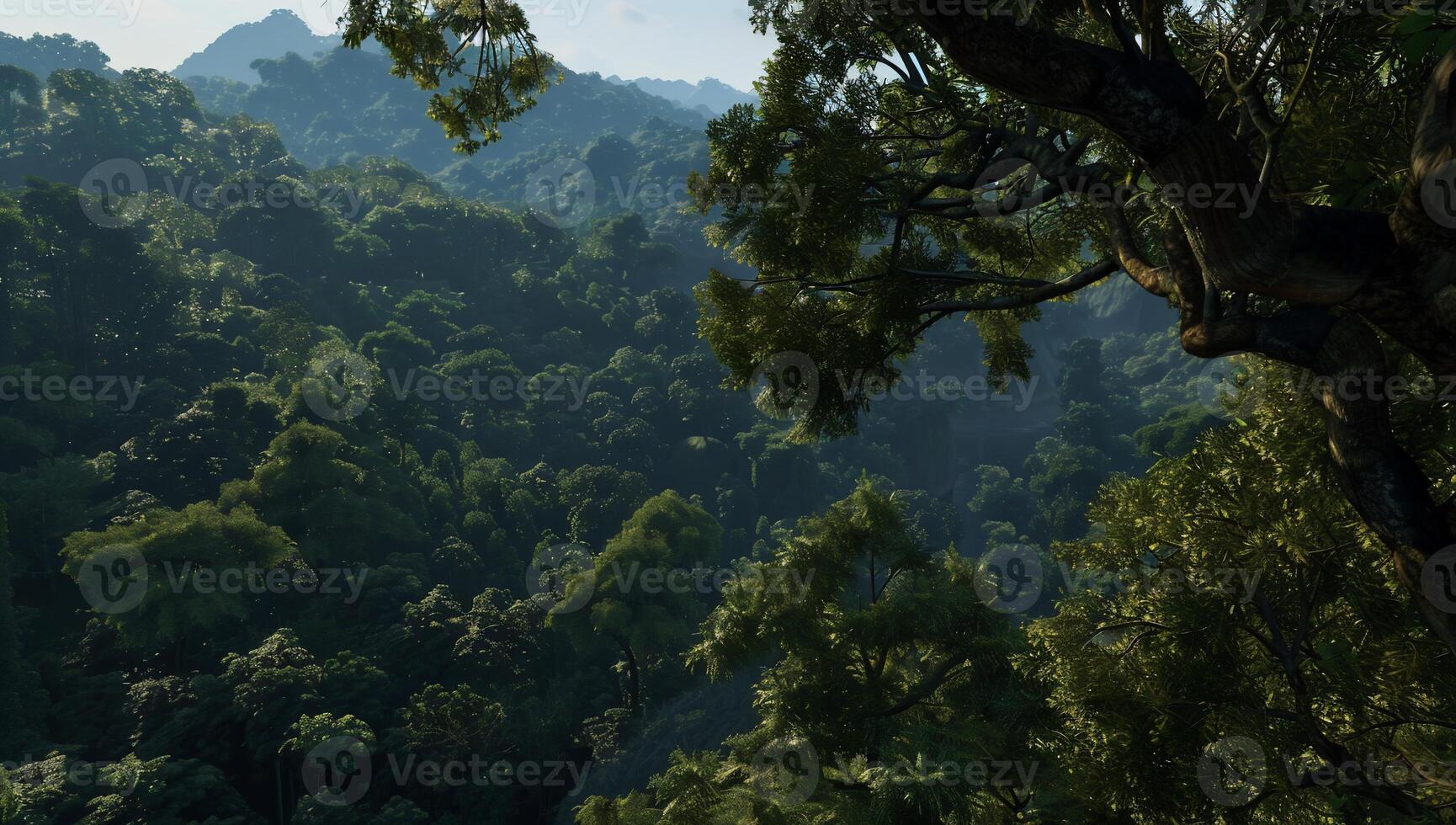Lush green mountain forest landscape. Dense canopy, misty mountains photo