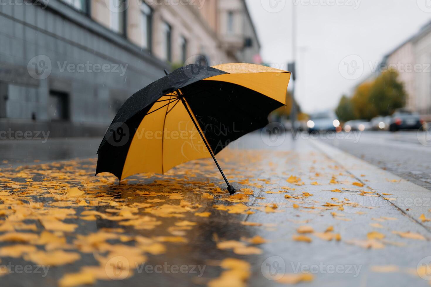 A yellow and black umbrella laying on the ground photo