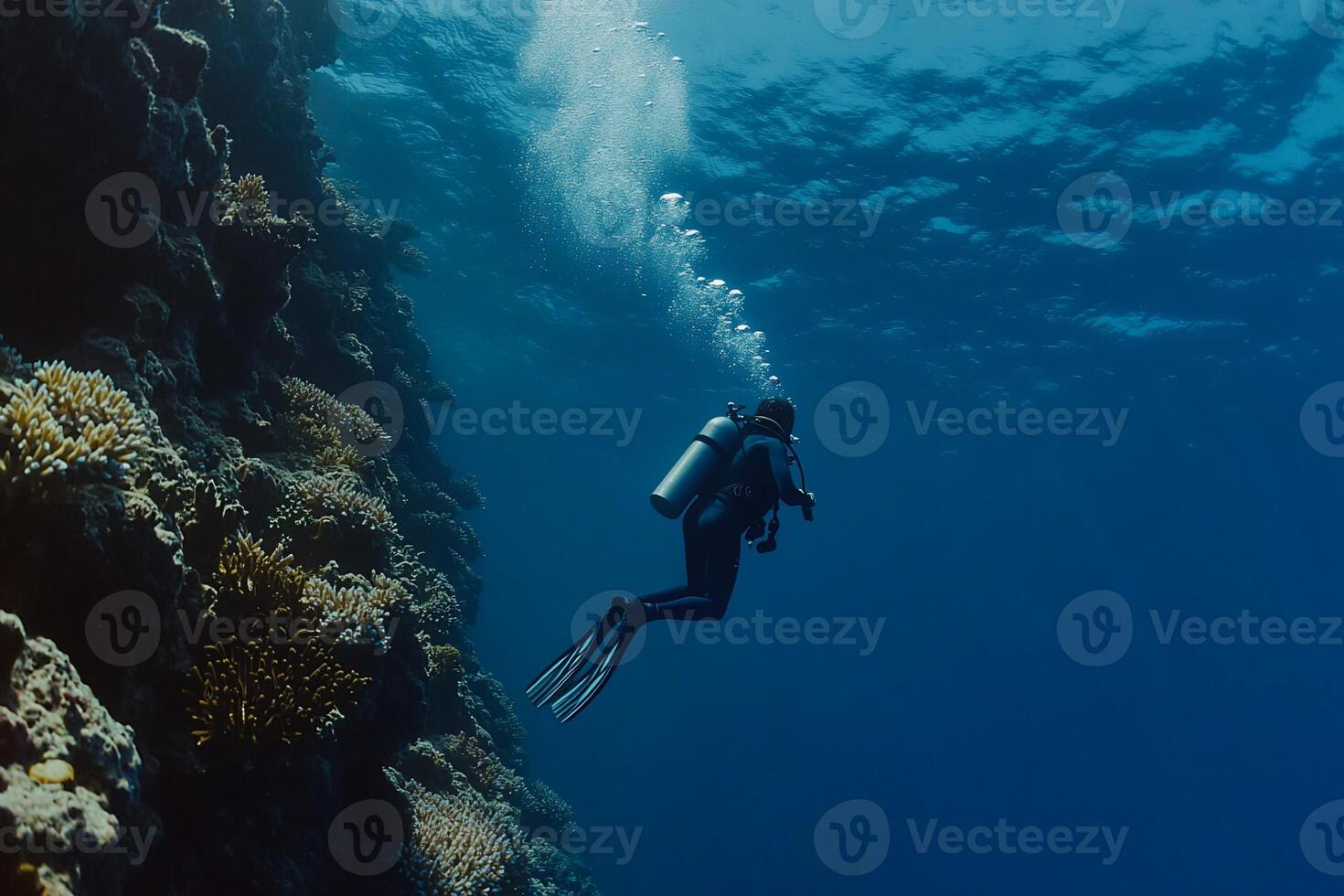 A person in a scuba suit swimming over a coral reef photo