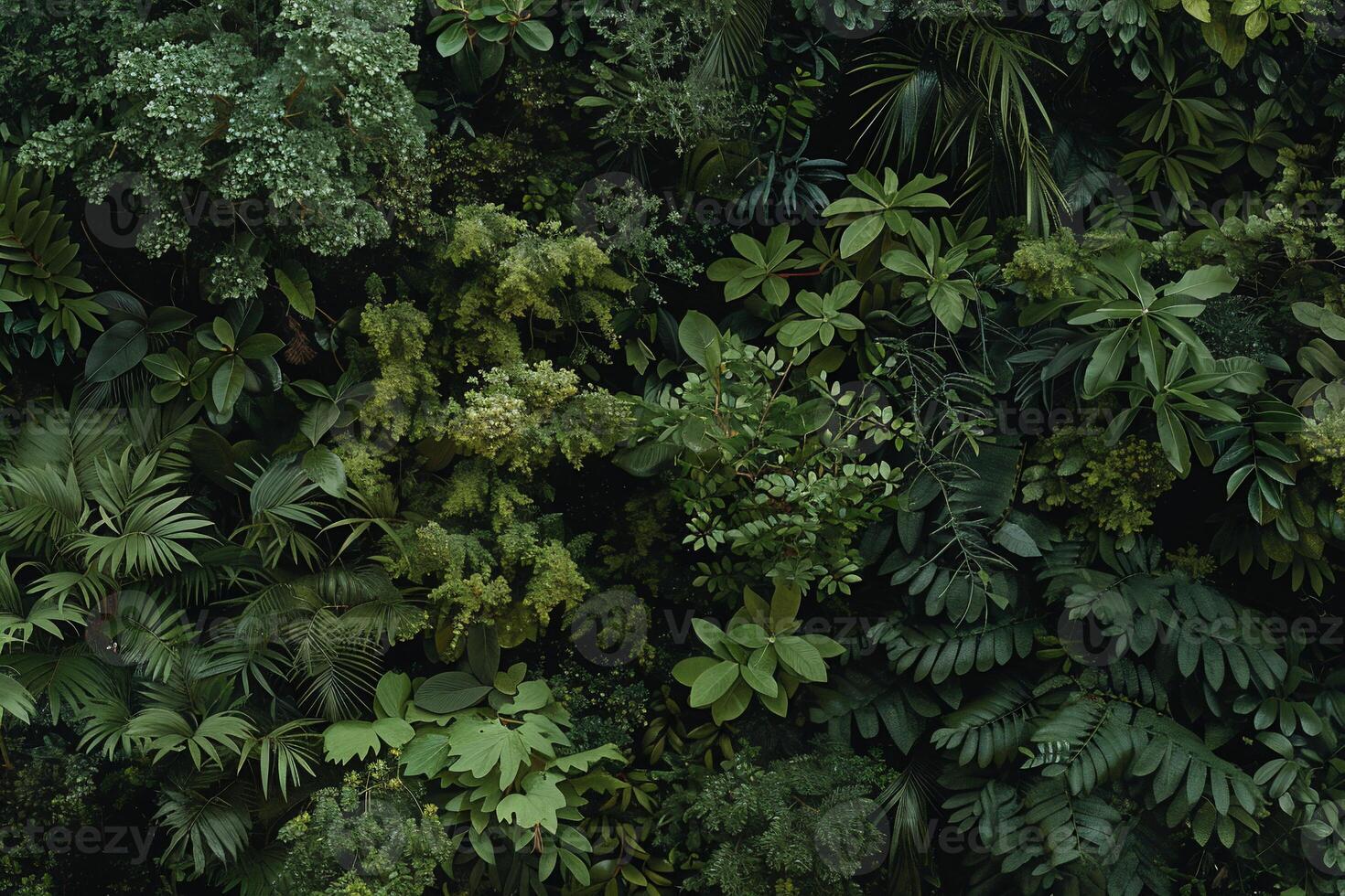 A wall of green plants and trees in a forest photo