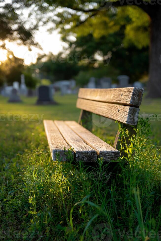 Wooden park bench in a grassy cemetery at sunset photo