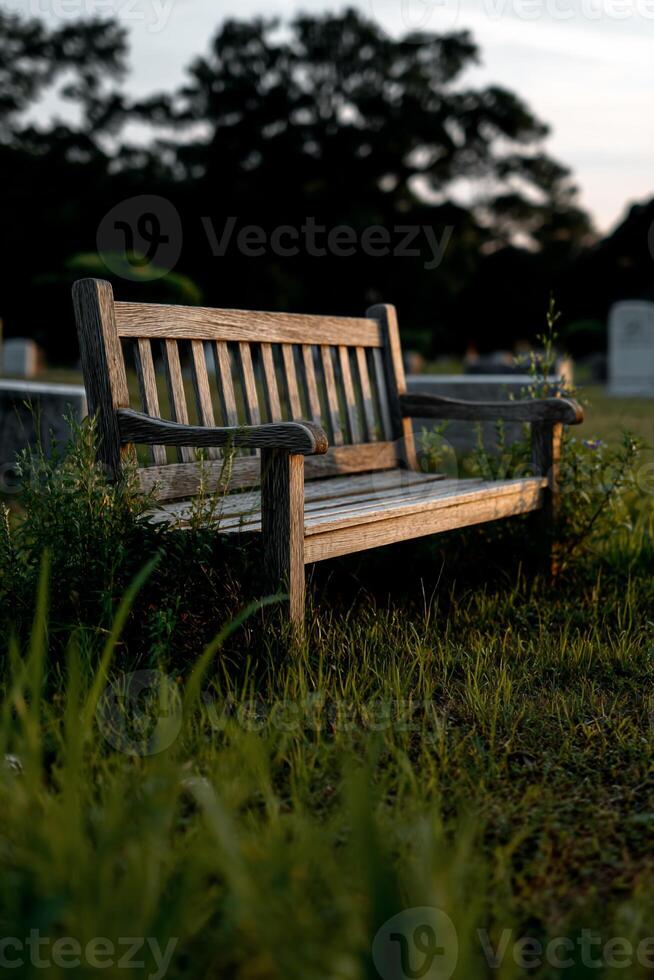 Wooden park bench in a grassy cemetery at twilight photo