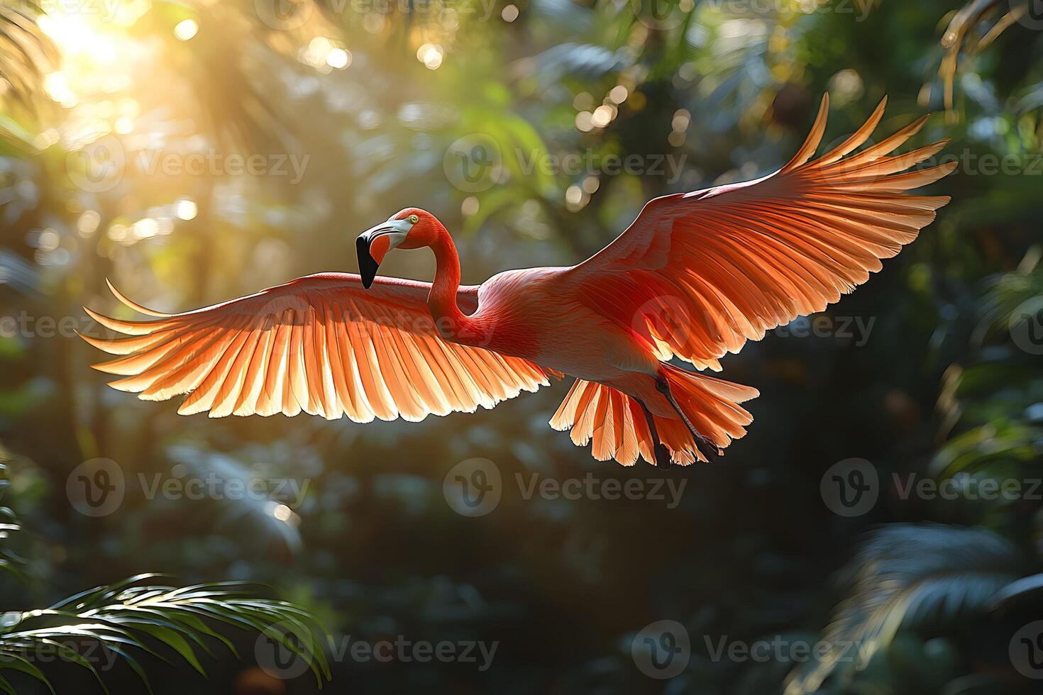 Vibrant Flamingo in Sunlit Tropical Rainforest Wildlife Photography photo