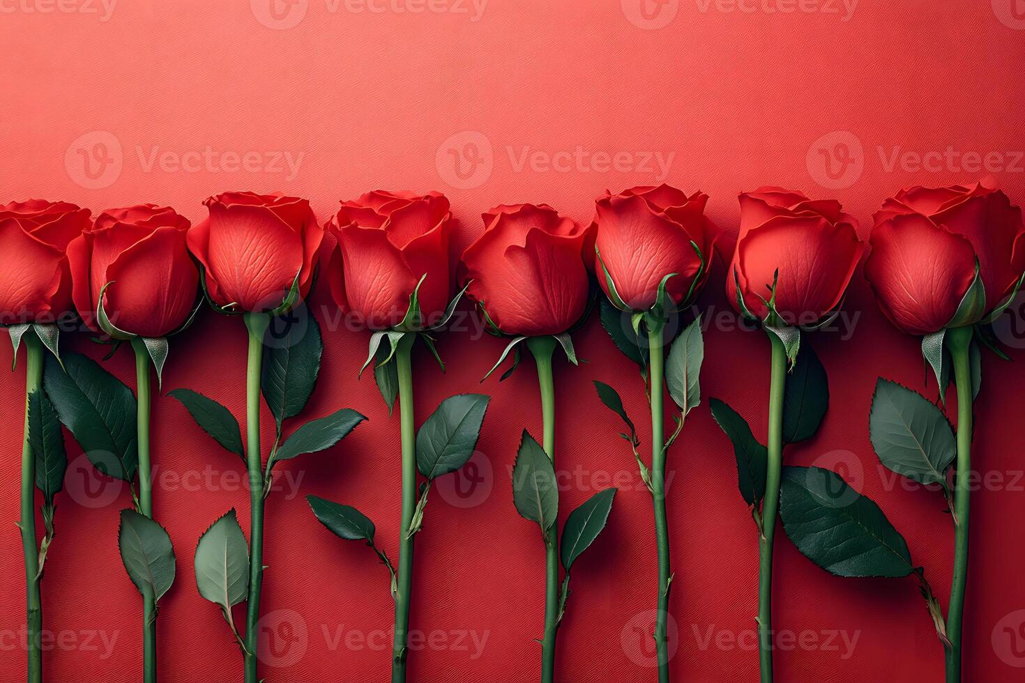 Row of Vibrant Red Roses on Matching Red Background - Floral Design for Romantic Occasions photo
