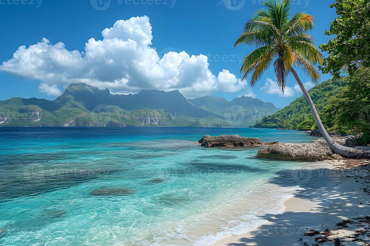 Tropical Paradise Beach with Palm Tree and Crystal Clear Water photo