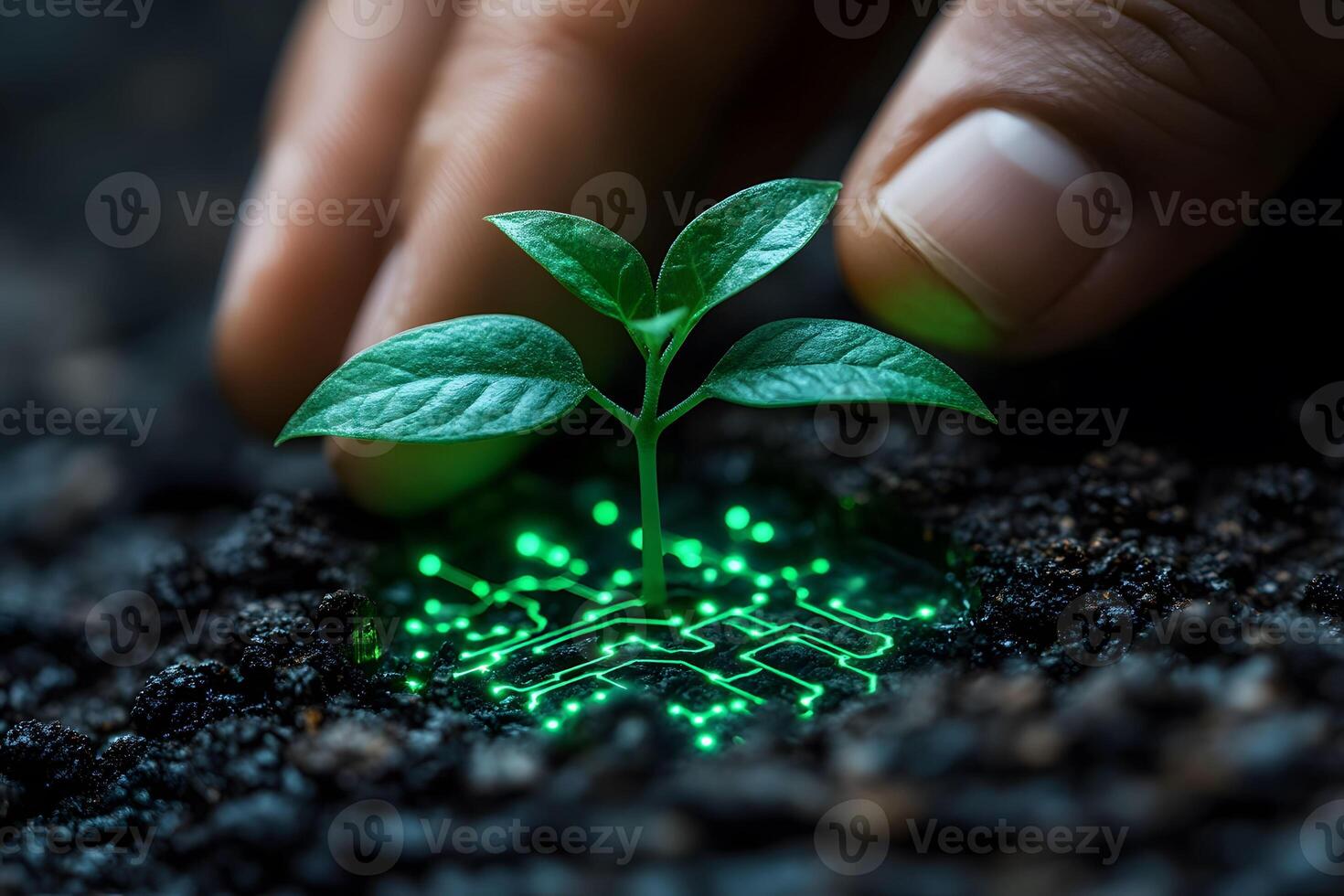 Innovation in Nature Merging Technology and Growth for a Sustainable Future photo