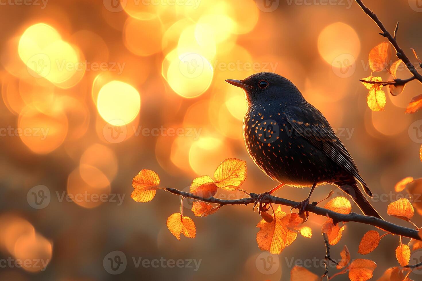 Tranquil Bird Perched Amidst Glowing Autumn Backdrop for Nature Photography photo