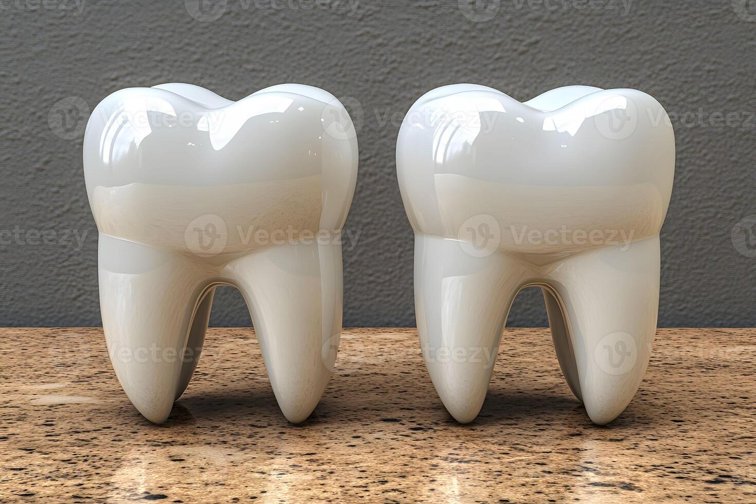 Dental Health Concept Twin Molar Models on Marble Surface for Educational Display photo