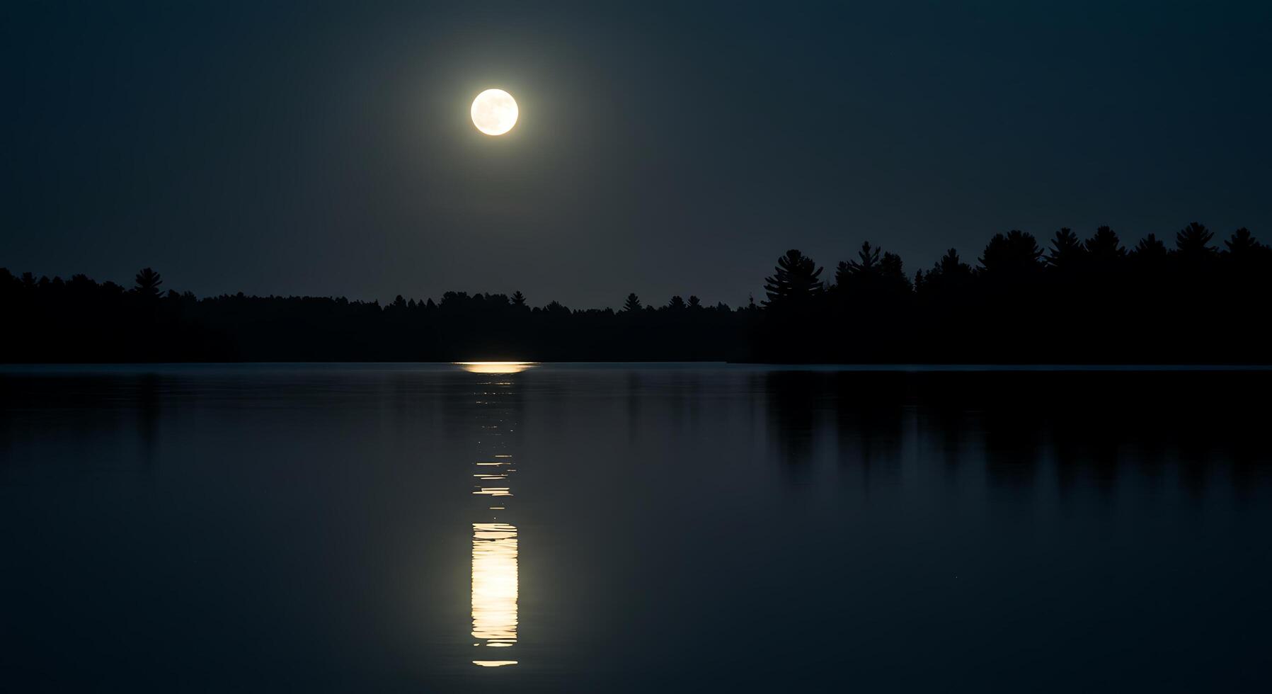 A full moon is seen over a lake at night photo