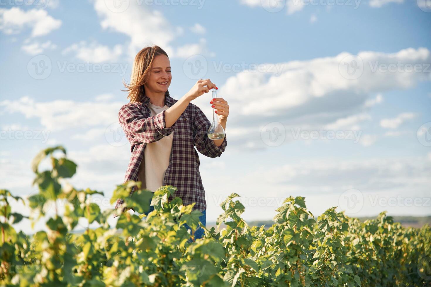 Test tube ,in, hands,, scientific research. Young woman is on the beautiful agricultural field at daytime photo