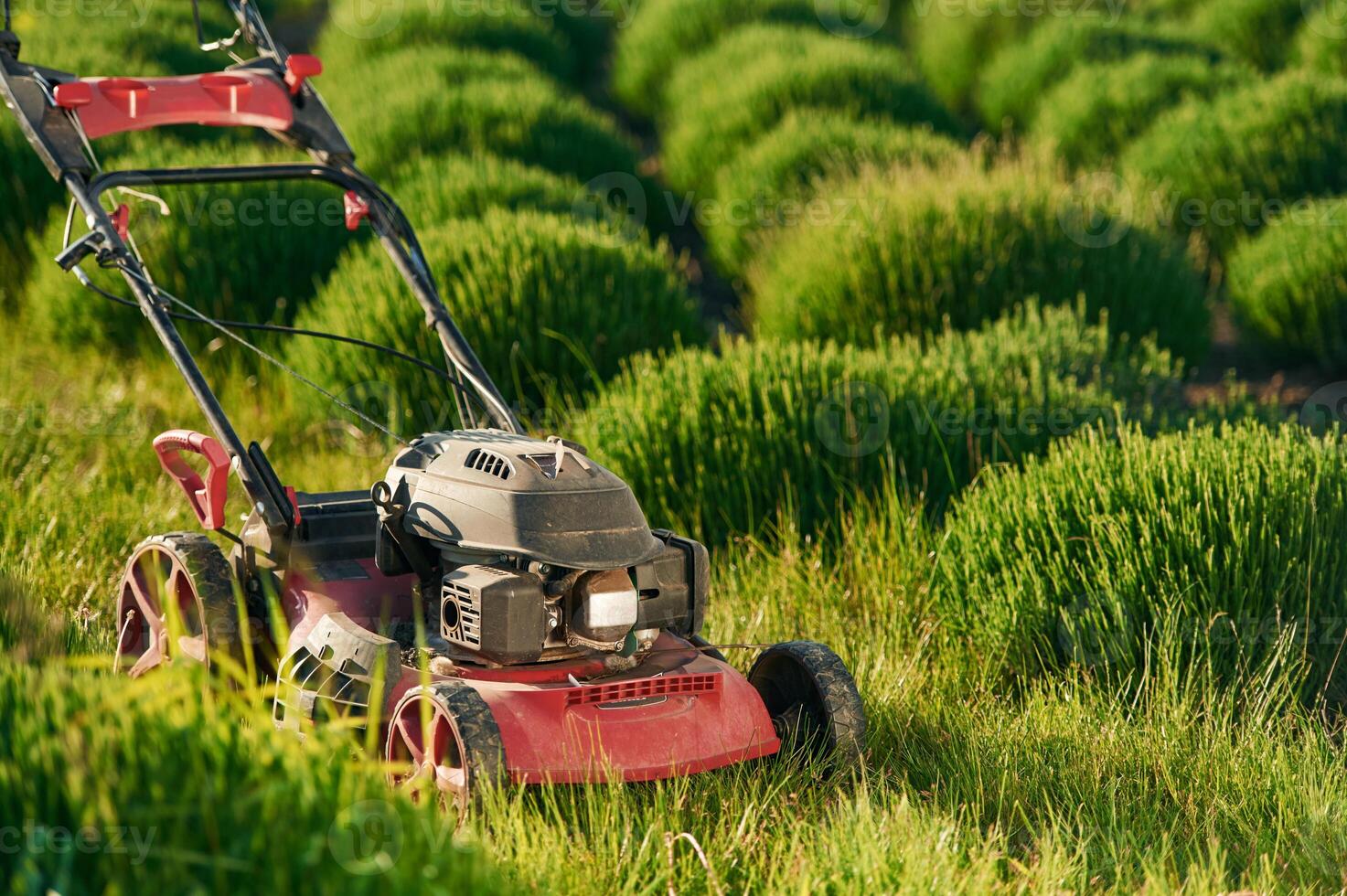 Lawn mower ,on the green field. photo