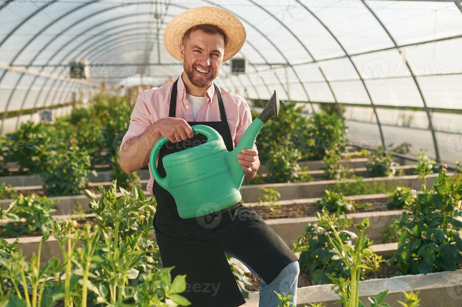 Watering can in hands., Man in greenhouse is working with plants photo