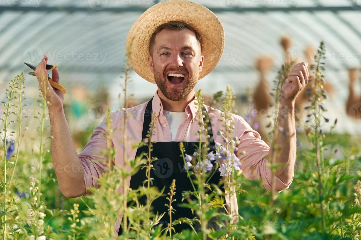 Cheerfu,l facial, expression. Man in greenhouse is working with plants photo