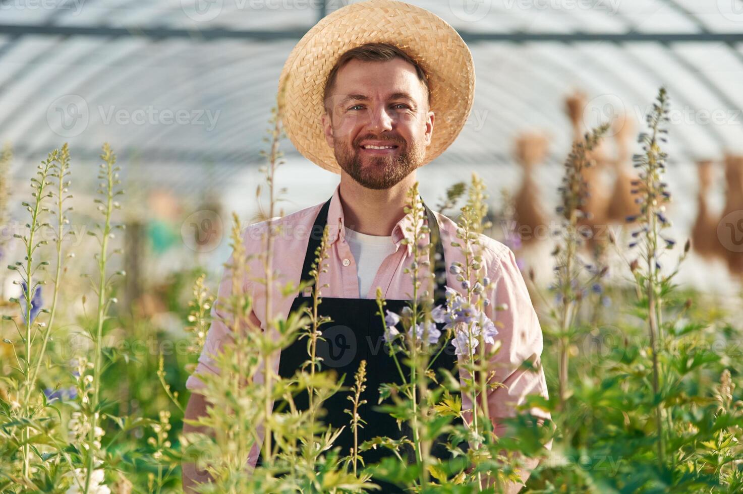 Cheerful f,acial expression. Man, in greenhouse is working with plants photo