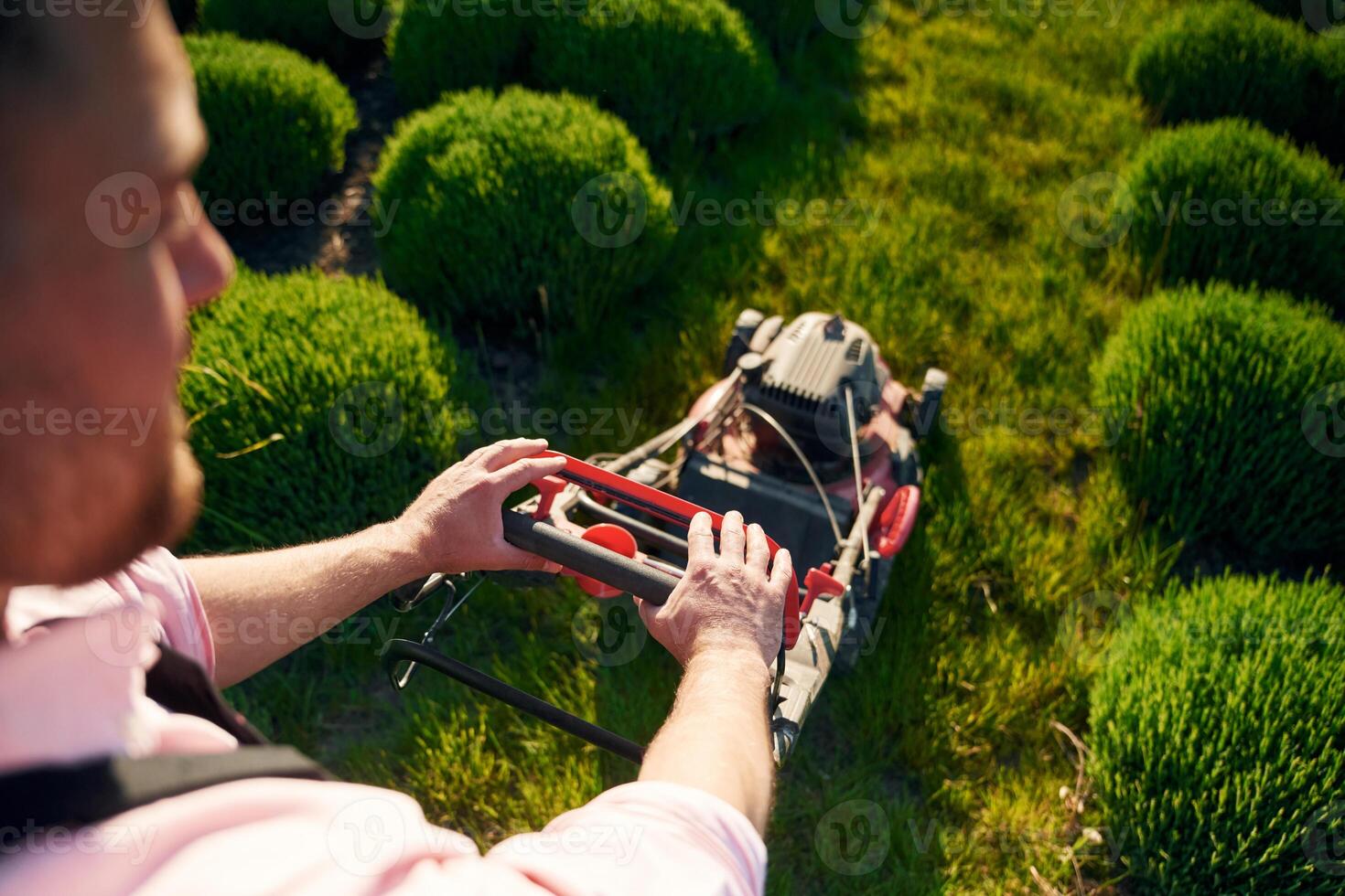 Handles the lawn mower. Adult, farmer is outdoors photo