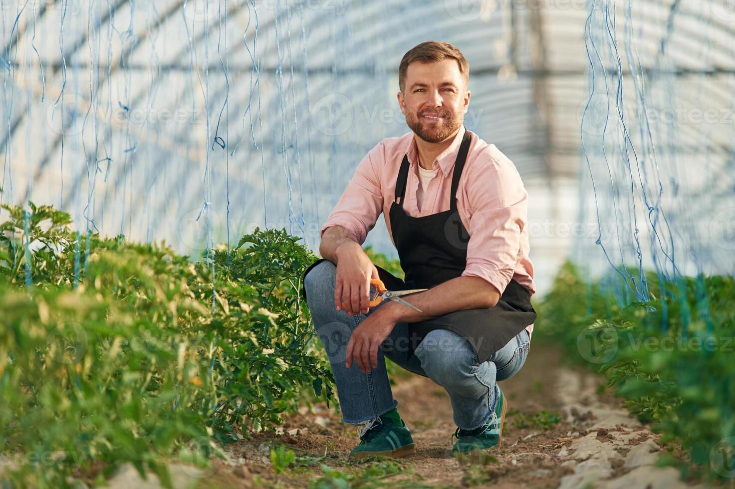 Cheerful facial, expression. Man in greenhouse is working with plants photo