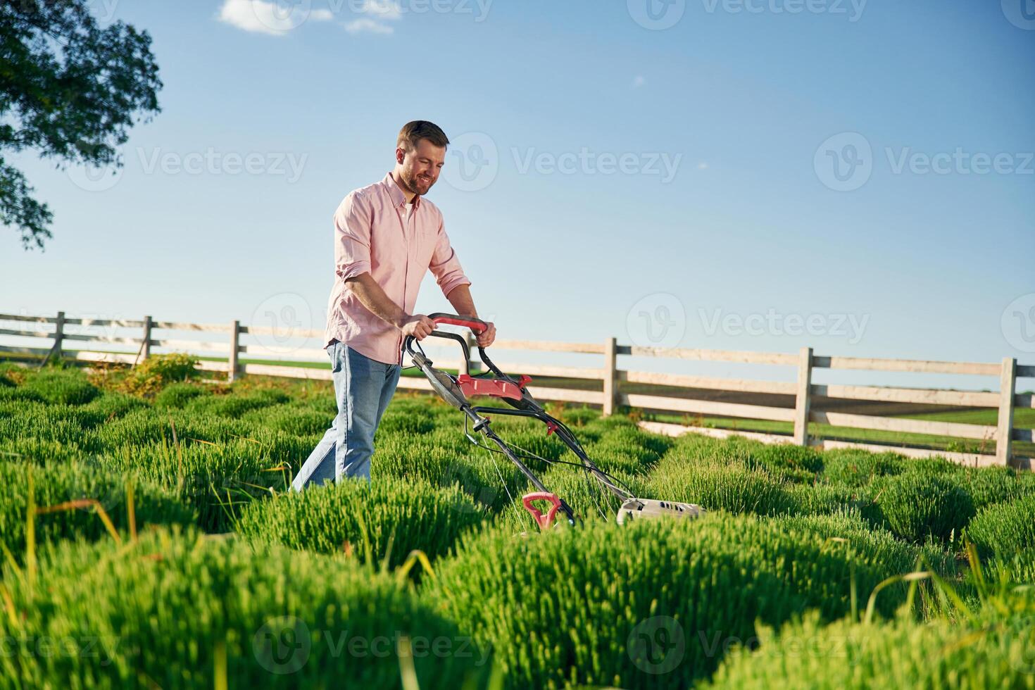 Red colored ,lawn mower., Adult farmer is outdoors photo
