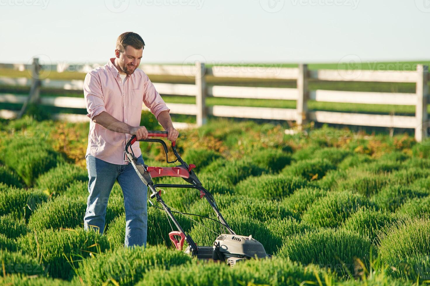 Using, lawn,, mower. Adult farmer is outdoors photo