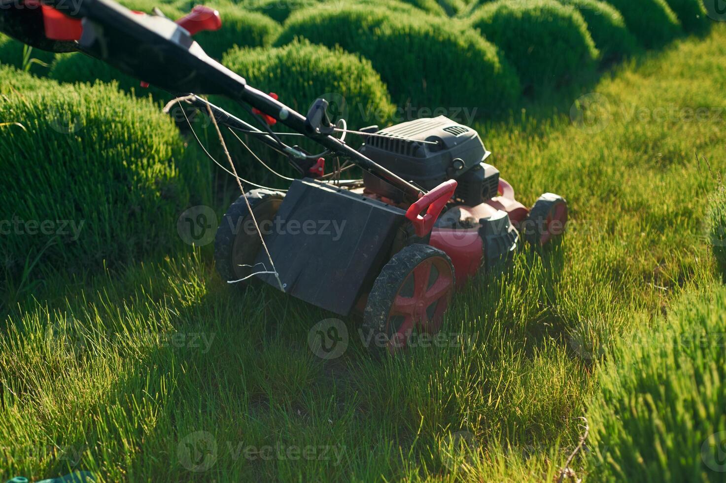 Lawn mower on the green field. photo