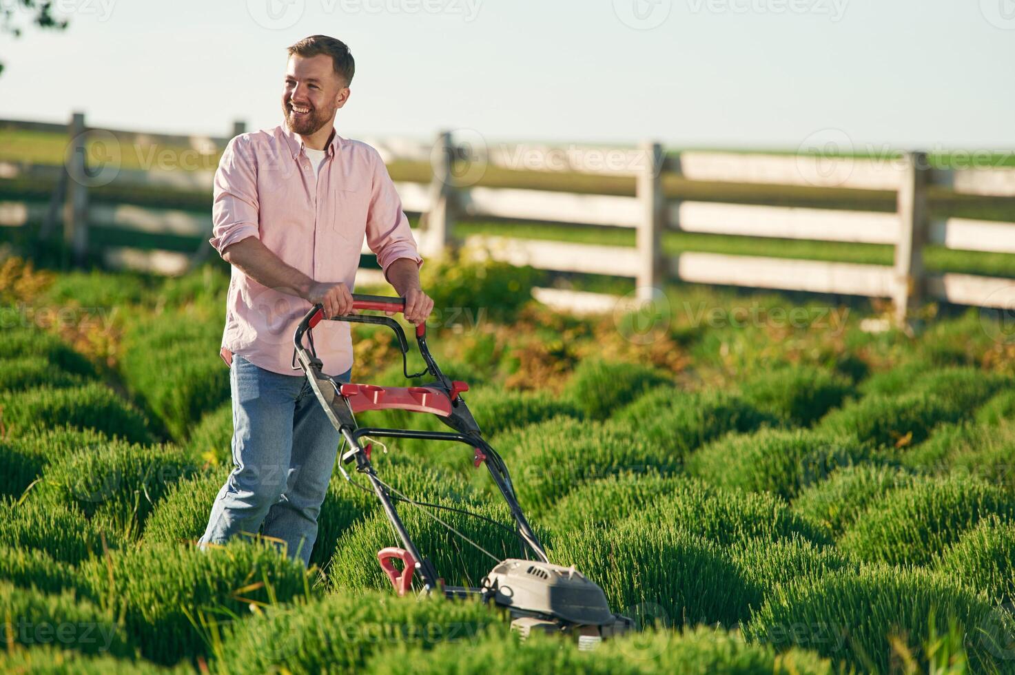 Using l,awn ,,mower. Adult farmer is outdoors photo