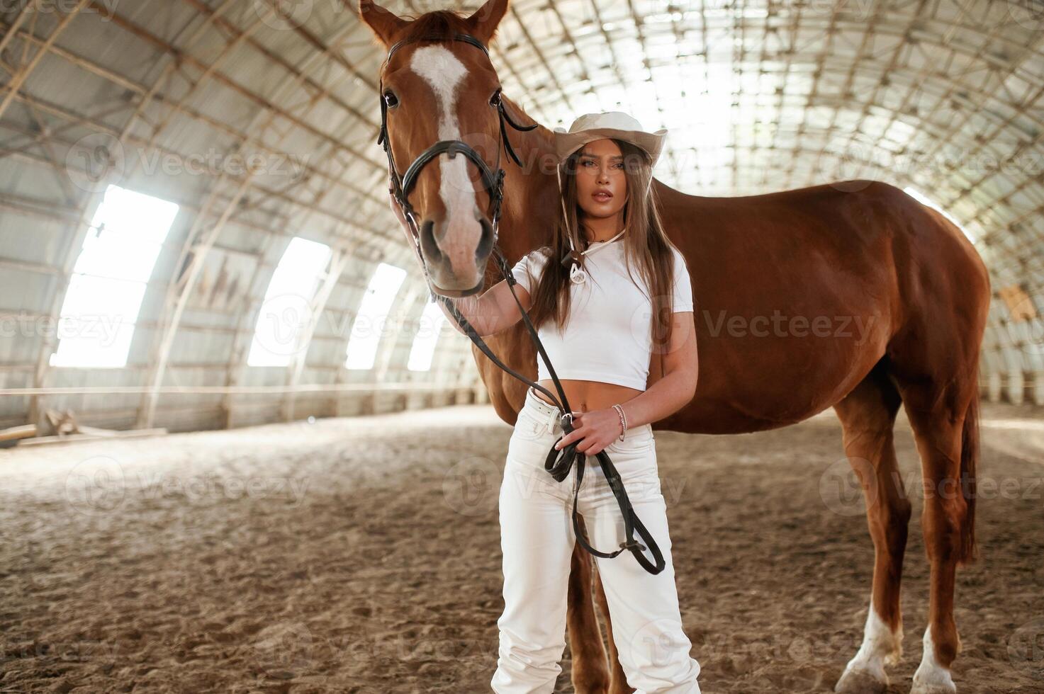 Looking ,forward. Beautiful young woman is with horse indoors photo