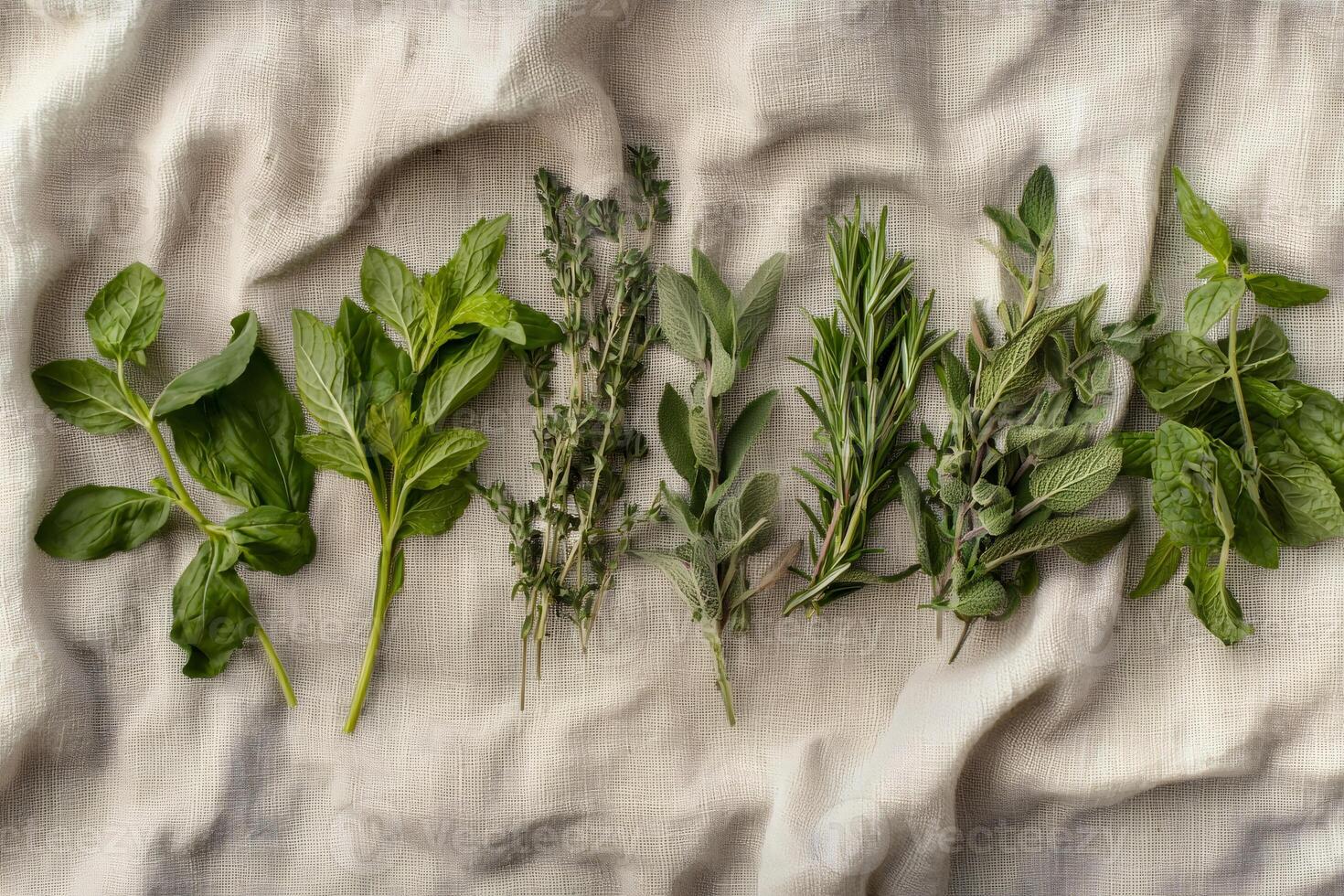 Fresh herbs lying on beige linen cloth for culinary purposes photo