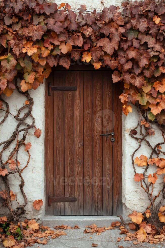 Old wooden door covered with autumn grapevine leaves photo