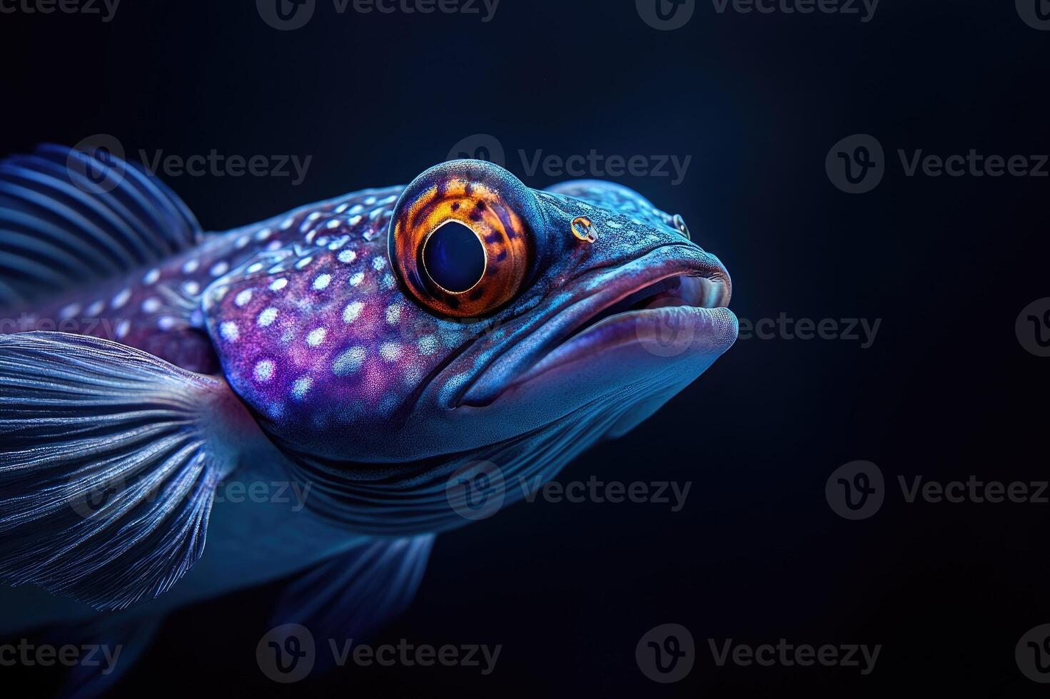 Colorful fish with big eye and spotted scales swimming underwater photo