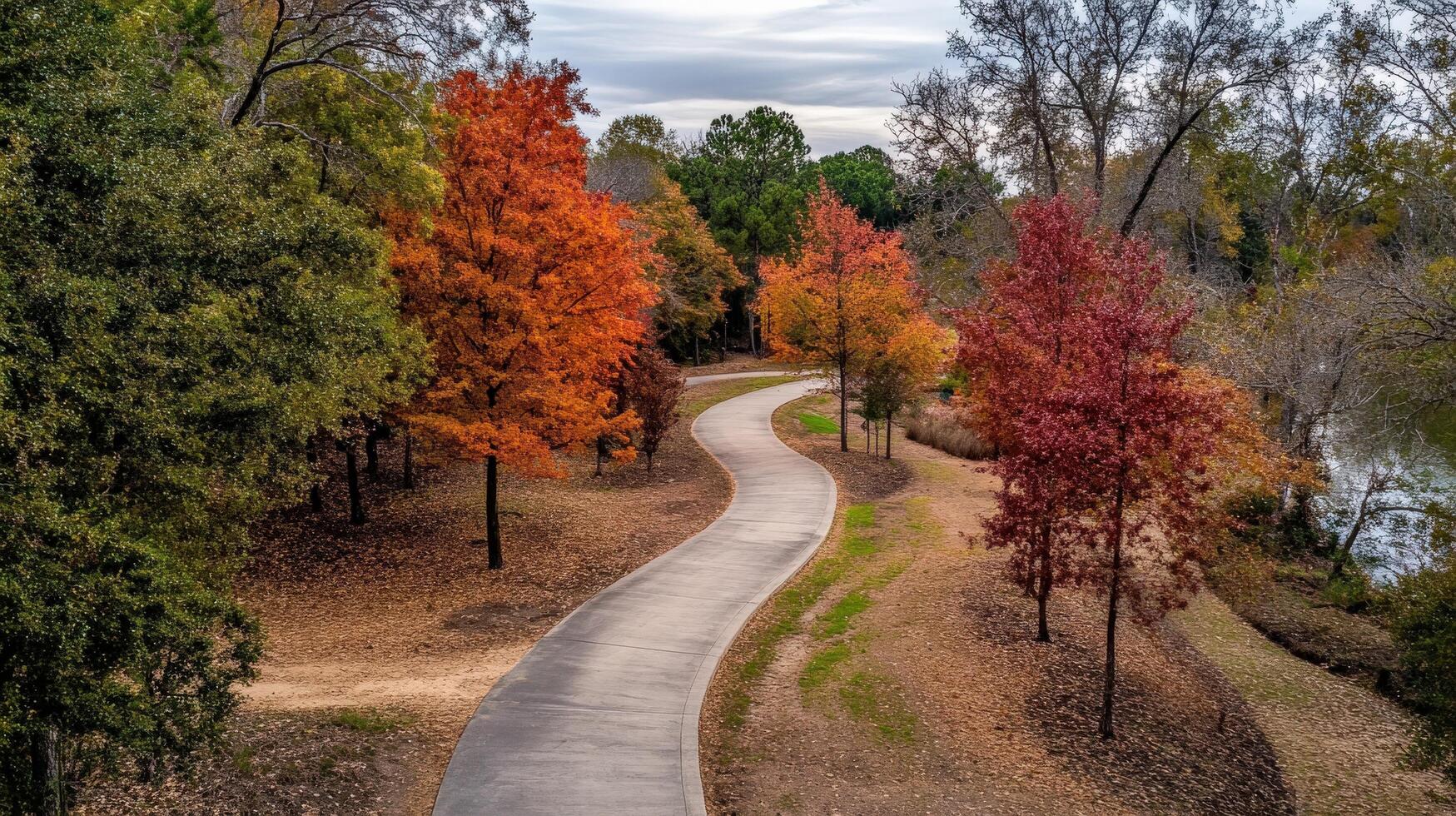 Autumnal pathway winding through colorful foliage by a tranquil water feature. photo