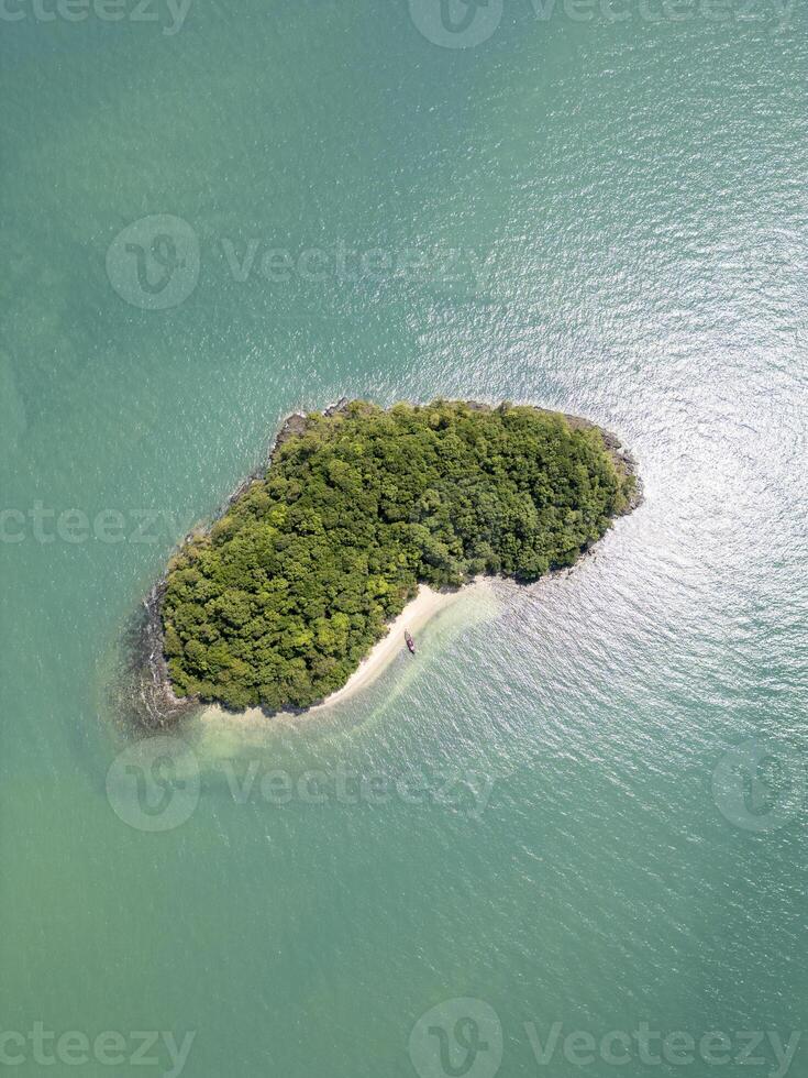 Drone shot of tropical vibrant panoramic jungle with palm trees on the shoreline, tropical leaves and wild greenery offer a peaceful retreat. Botanical exploration and summer adventure. photo