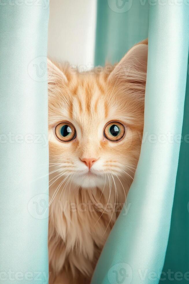 Mischievous orange cat exploring colorful curtains with curious eyes photo