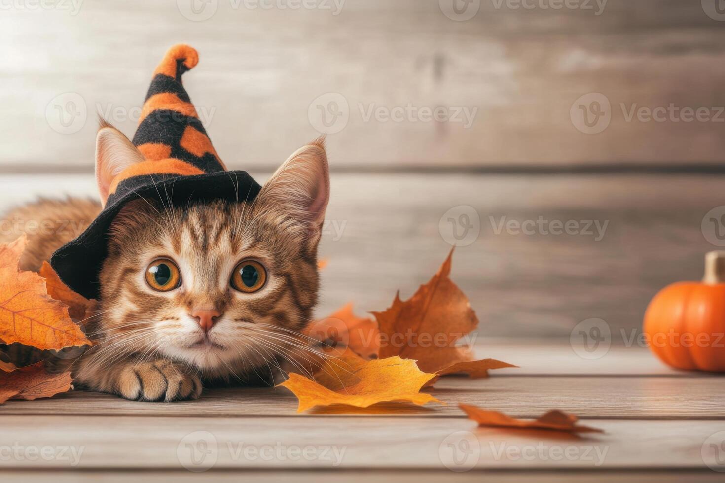Cat in Halloween costume looking annoyed while tangled in decorations and surrounded by autumn leaves photo