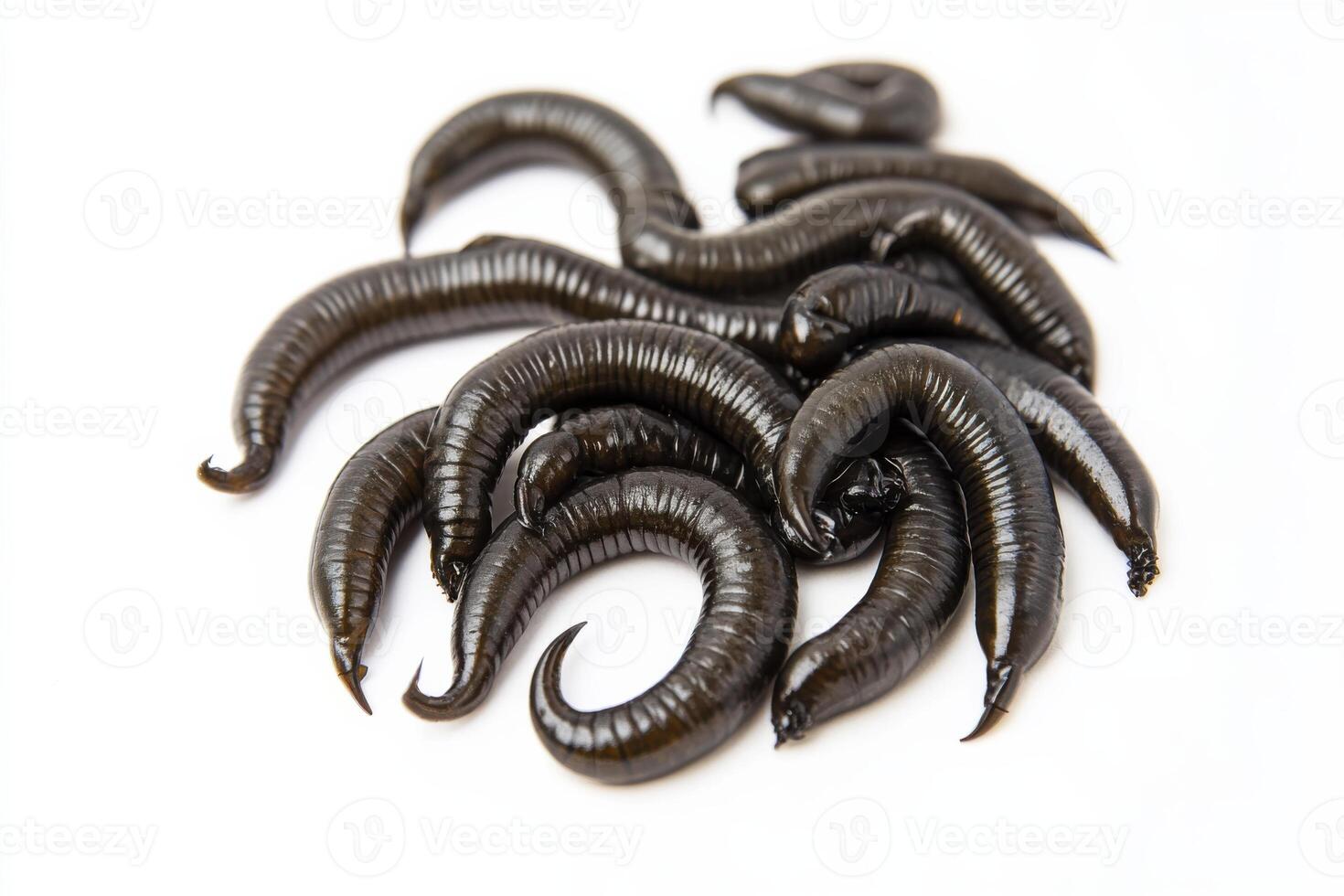 High quality rubber worms for fishing on clean white background, ideal for bait and angling enthusiasts photo