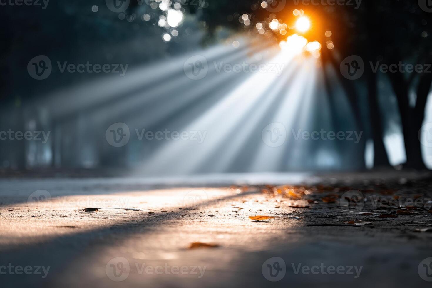 Captivating sunlight rays breaking through trees in a wooded area during early morning hours photo