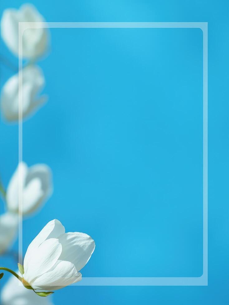Elegant white flowers bordering a clear frame against a vibrant turquoise background perfect for design photo