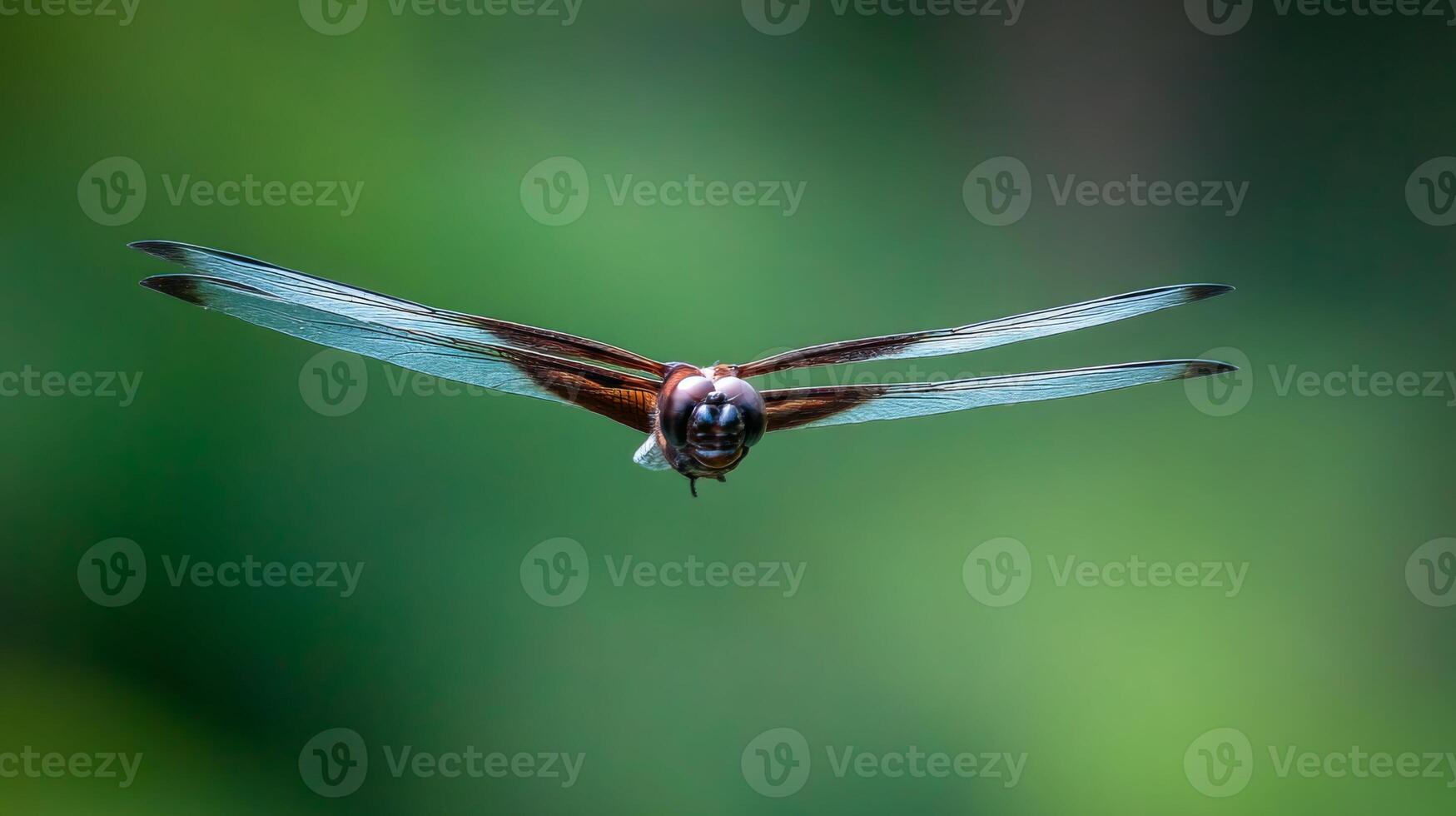 Dragonfly in Mid-Flight Showcasing Delicate Wings Against a Lush Green Background in Nature Photography photo