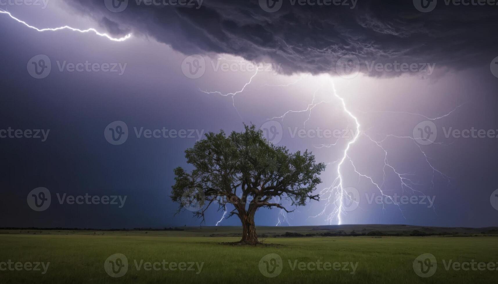 Dramatic Lightning Strikes Over Isolated Tree Under Dark Storm Clouds in Vast Green Field photo