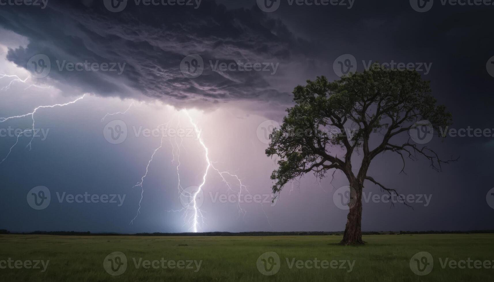 Dramatic Thunderstorm Over Open Field with Single Tree Under Dark Clouds and Striking Lightning in Night Sky photo