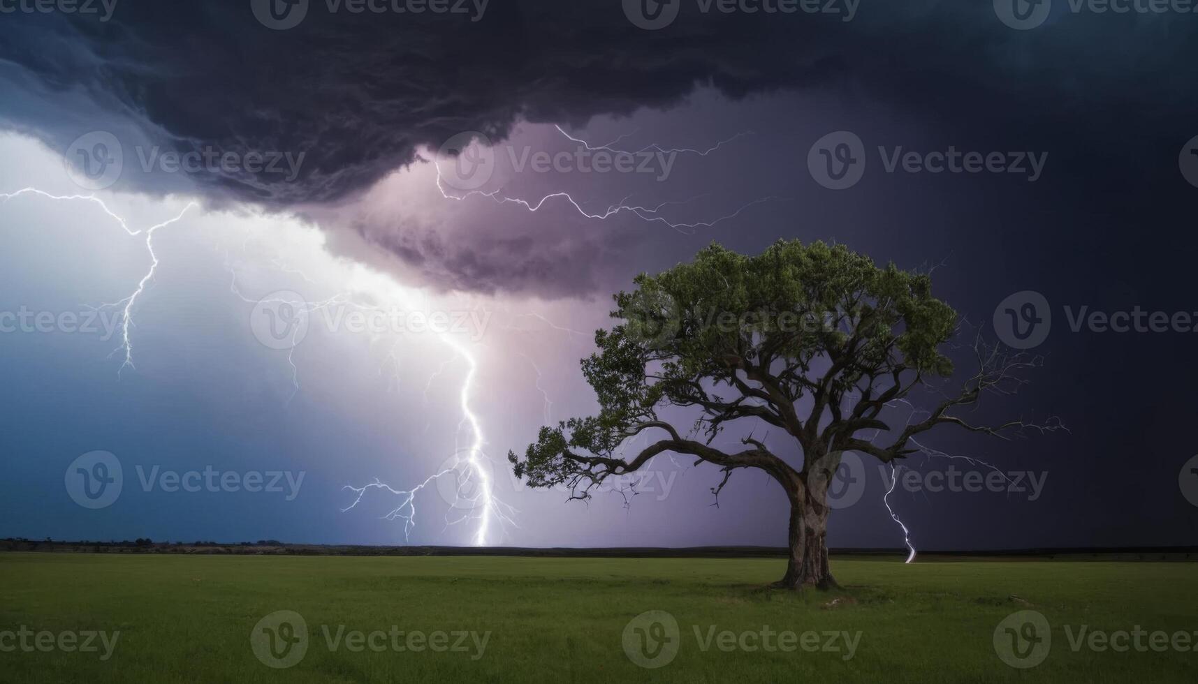 Dramatic Thunderstorm Over Isolated Tree in Open Field with Lightning Strikes and Dark Storm Clouds photo